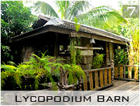 lycopodium barn