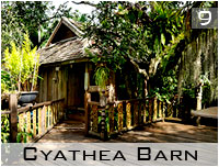 cyathea barn